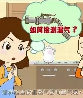 如何檢查燃?xì)庑孤? /></a> </figure>
              <div   id=
